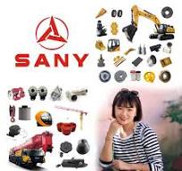 Sanny Partssanny Kranteile Sany Bagger Ersatzteile Sanny Ersatzteile