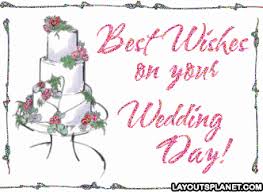 The best gifs for congratulations. Happy Wedding Wishes Gif