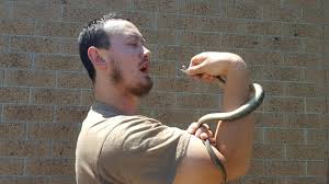 A snakebite is an injury caused by the bite of a snake, especially a venomous snake. Tiger Snake Bites Man And Son In Melbourne Home Bbc News