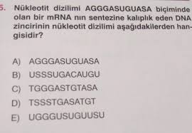 '' en komik tweetler nerede? Yks Tiwitleri Ar Twitter Nukleotit Kardes Komik Bisey Varsa Soyle De Biz De Gulelim