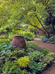 Deep Shade Plants Thrive Beneath Tree Canopies Shade Garden Design Shade Garden Shade Plants