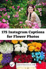 Check spelling or type a new query. 175 Best Instagram Captions For Flower Photos 2021