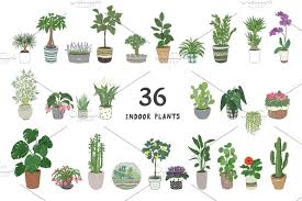 Indoor Plants Succulents Drawing Plant Drawing Palm Tree Drawing