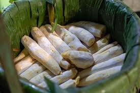 Tape singkong adalah tape yang dibuat dari singkong yang difermentasi. Apakah Makan Tape Singkong Bermanfaat Buat Tubuh Persagi Bandung