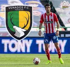 We did not find results for: Rodrigo Noya Deja San Luis Para Reforzar A Venados Los Kama S Deportes