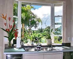 Maui Blog Georgie Hunter R S Window Over Sink Window Plants Kitchen Garden Window