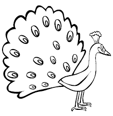 You can print all of our peacock coloring pages for free. Peacock Coloring Free Animal Coloring Pages Sheets Peacock