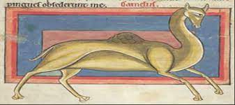 But it's a folly to think the camel will stop there. Https Papers Ssrn Com Sol3 Delivery Cfm Ssrn Id2820557 Code2488747 Pdf Abstractid 2820557 Mirid 1