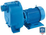 Marlow Series Commercial Pool Pumps - Goulds