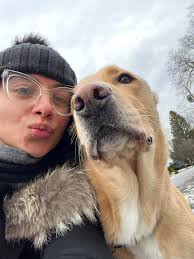 Two shots from today's lovely walk with my faithful WESS. ❤️🐶🐾🥾🌳