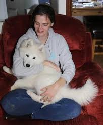 Get affordable, customizable pet insurance to cover the expensive and unexpected. Pet Sitters In Netherlands Insured On Petbacker