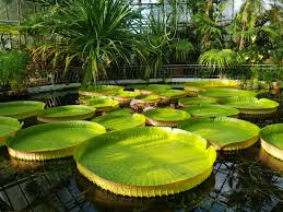 Tara noastra este tare frumoasa, insa locurile cu adevarat sublime sunt cele ascunse, la care se ajunge greu si care. 10 Locuri Pe Care SÄƒ Nu Le Ratezi In Cluj Aventurescu