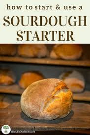 How To Start A Sourdough Starter For Baking Sourdough At Home Sourdough Starter Sourdough Starter Recipe Real Food Recipes
