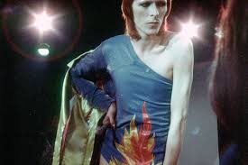 Image result for thin white duke