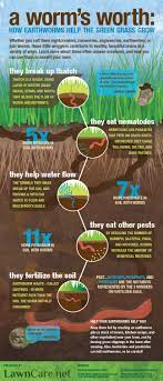 Why Earthworms Are Worth Keeping Around From Lawncarenet Http Www Lawncare Net Earthworms Earthworms Lawn Care Vermicomposting