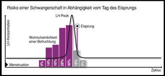 Der lh anstieg liegt vor, wenn der zweite strich gleich farbintensiv ist, oder? Topgyn Meldungen