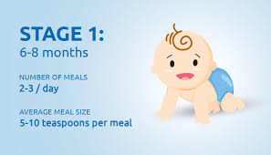 Join enfamil® family beginnings today Weaning How Many Meals A Day Apta Advice