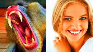 Daphne Cheng: Elevating Veganism to an Art Form (Part 1 of 3)