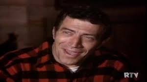 The BEST episodes directed by Don Weis