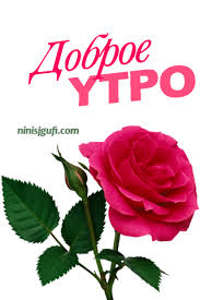 If you loves nature then these rose images is perfect for. Best Goodmorning Roses Gifs Gfycat