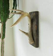 Whitetail Antler Shed Wall Hook On Barnwood For Towel Rack Etsy Hat Rack Cabin Decor Log Cabin Decor