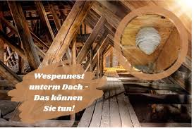 Wenn es einen dann aber doch selbst trifft, ist die ratlosigkeit groß. Wespennest 8 Mittel Gegen Wespen Unterm Dach Gartenlexikon De