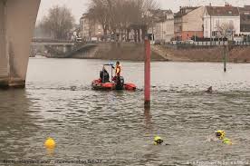 Touches, astuces, cheat du jeu requin dans la mer : Un Requin A Ete Interpelle Dans La Seine La Republique De Seine Et Marne