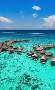 Image result for Medium Water Blue 1991 Monaco