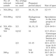 Camels have many adaptations that allow them to live successfully in desert conditions. Pdf A Review Of Sarcocystosis In Camels And Redescription Of Sarcocystis Cameli And Sarcocystis Ippeni Sarcocysts From The One Humped Camel Camelus Dromedarius