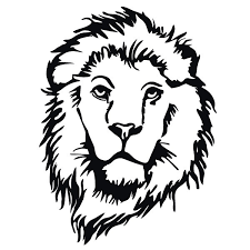 In unserer anleitung mit video lernst. Lowenkopf Zeichnen