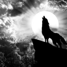 Maybe you would like to learn more about one of these? Forscher Beweisen Vollmond Sorgt Fur Schlechteren Schlaf