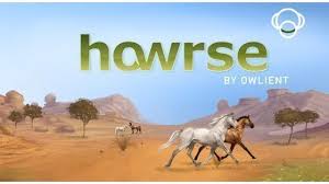 Afbeeldingsresultaat voor howrse