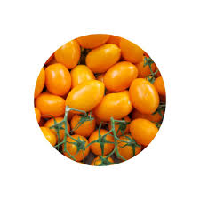 Image result for tomato Datterino