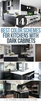 dark kitchen cabinets, dark cabinets