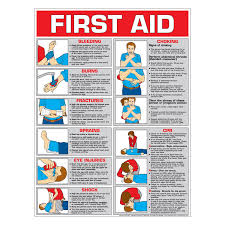First Aid Chart Color Laminated