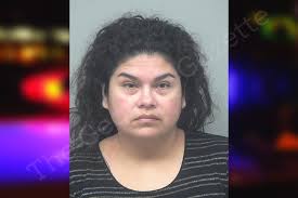 Nancy Ulloa Saltos — Gwinnett County Jail Bookings