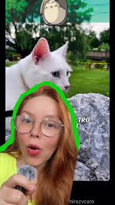 Ghibli Filter Marcas