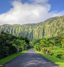 Ho Omaluhia Botanical Gargden Situated Against The Majestic Ko Olau Range Ho Omaluhia One Of The Five Honolu Hawaii Pictures Hawaii Photography Hawaii Travel