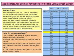 northern pike length girth weight chart table 1