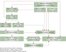 The Diagnosis And Management Of Chronic Heart Failure