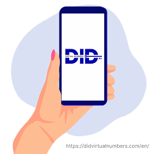 Постоянный виртуальный номер от DID Virtual Numbers: быстрое подключение и  надёжная защита » BigPicture.ru