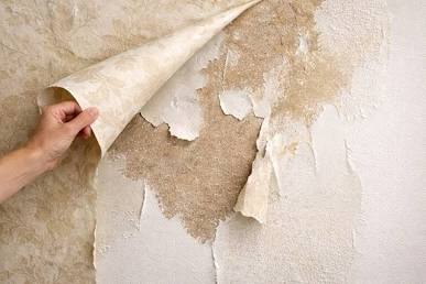 wallpaper removal surrey