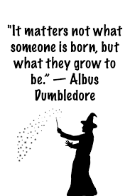 The early years of dumbledore's life were marked by tragedy when his younger sister, ariana dumbledore, was attacked by a group of muggle boys, who saw her performing magic and were frightened by what they saw. Dumbledore Quotes Quotes About Albus Dumbledore Top 18 Albus Dumbledore Quotes From Dogtrainingobedienceschool Com
