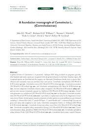 Image result for Convolvulus aschersonii