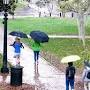 Profile Picture of 8 Things to Do on a Rainy Day in Savannahon Google