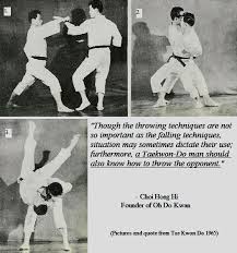 Complete Art For Self Defence Taekwondo Martial Arts Fight Techniques