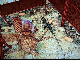 The biggest Radroach Ive ever seen in all my playthroughs. Sniper for  scale. : rfo4