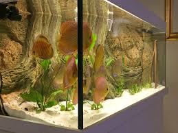 Oak, walnut, black, marble, etc., to match any decor. Diskus Manolo Aquarium Arstone Aquarium Ruckwande