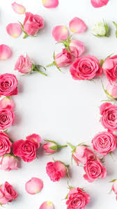 Love Flowers Roses Quotes Flowery Wallpaper Pink Wallpaper Backgrounds Flower Phone Wallpaper