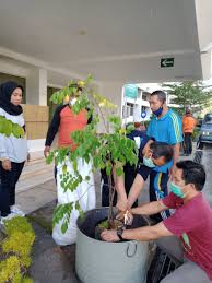 Maybe you would like to learn more about one of these? Biro Kesra Ntb Twitter àªªàª° Tanam Buah Dalam Pot Tabulampot Asisten Pemerintahan Dan Kesra Sekda Prov Ntb Menanam Pohon Lengkeng Dan Karo Kesra Setda Prov Ntb Menanam Pohon Belimbing Ntbgemilang Ntbamandanberkah Ntbasridanlestari Https T Co